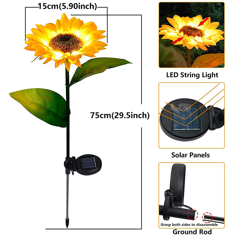 solar sunflower outdoor flower